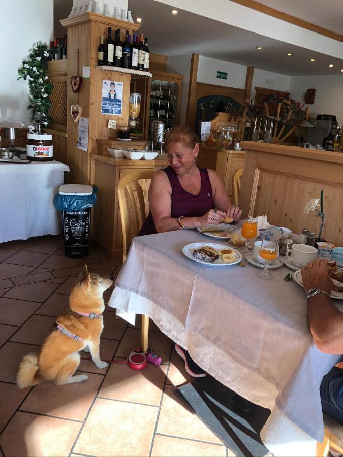 Alpine Touring Hotel-Petfriendly Pozza di Fassa Esterno foto