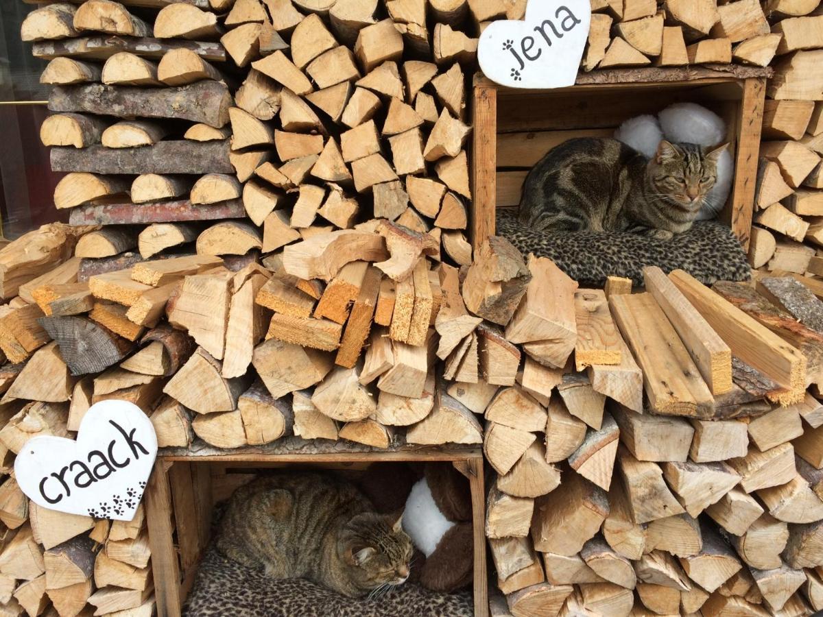 Alpine Touring Hotel-Petfriendly Pozza di Fassa Esterno foto