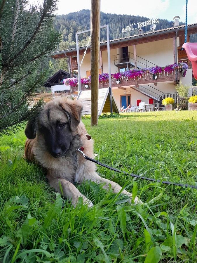 Alpine Touring Hotel-Petfriendly Pozza di Fassa Esterno foto