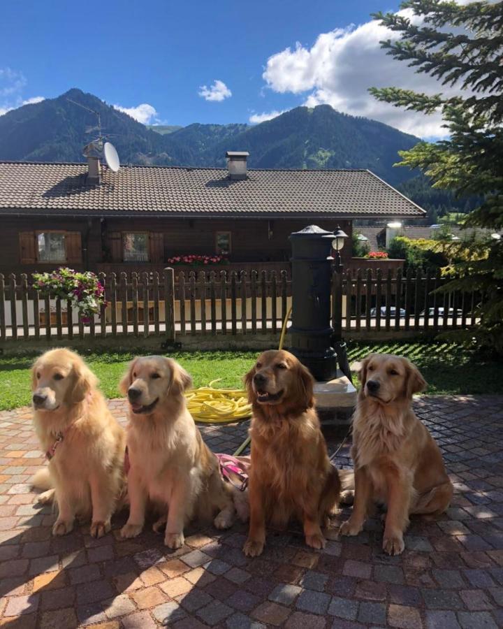 Alpine Touring Hotel-Petfriendly Pozza di Fassa Esterno foto