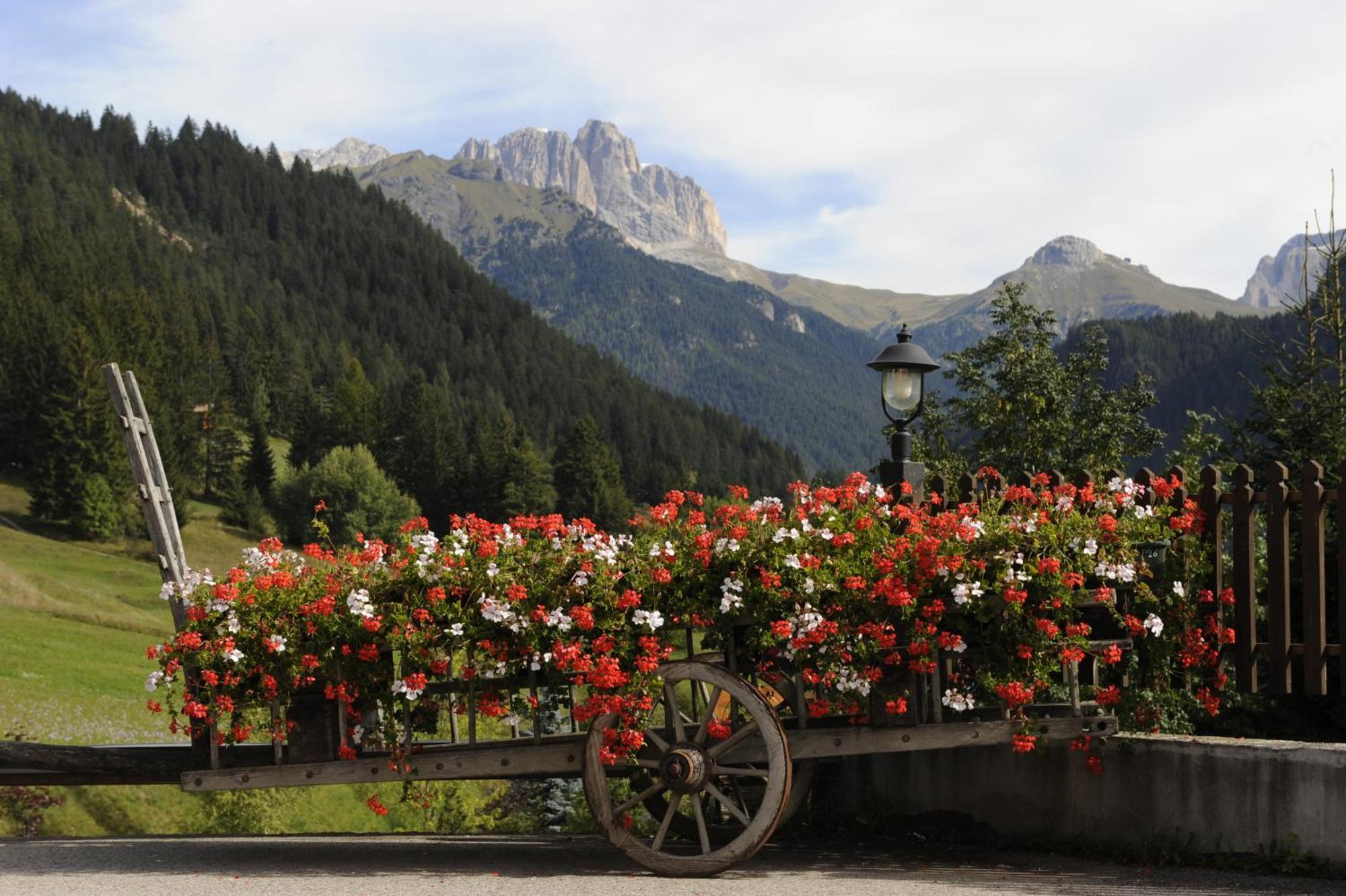 Alpine Touring Hotel-Petfriendly Pozza di Fassa Esterno foto
