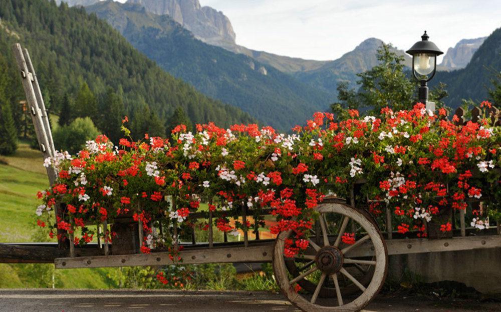 Alpine Touring Hotel-Petfriendly Pozza di Fassa Esterno foto